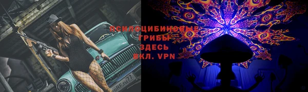 Альфа ПВП Каменск-Шахтинский
