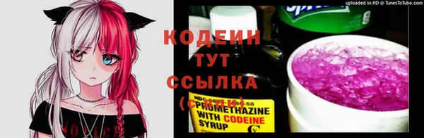 мяу мяу мука Каменка