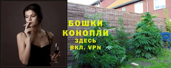 гидропоника Болохово