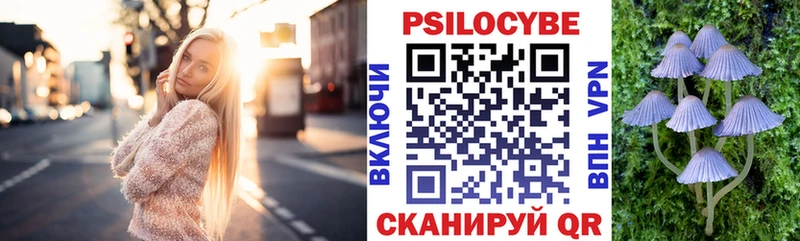Купить  Карасук  Псилоцибиновые грибы Psilocybe 